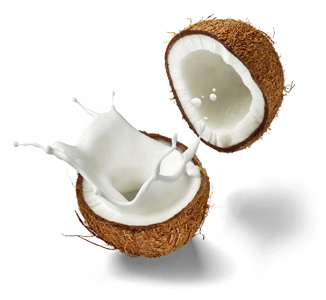 cara membuat santan kelapa