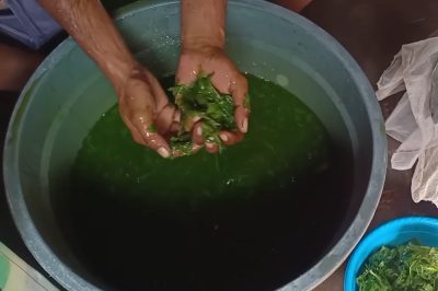 Cara Membuat Cincau