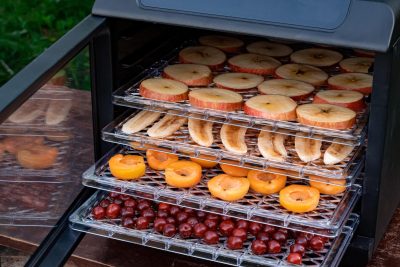 Apa Fungsi Food Dehydrator