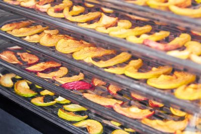 Berapa Suhu Food Dehydrator Wiratech